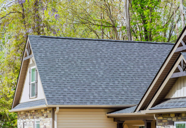 Best Roof Insulation Installation  in St Bernard, OH